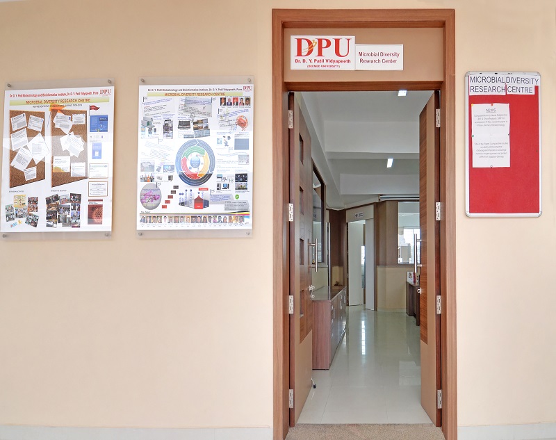 DPU-DYPBBI - Research Center